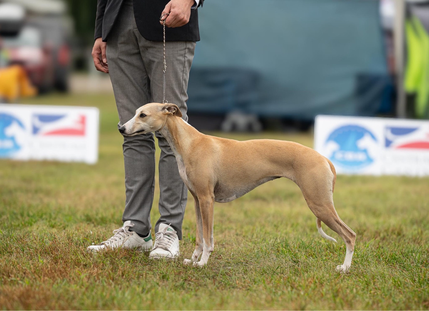 Une belle generation des plaines des Bruyères